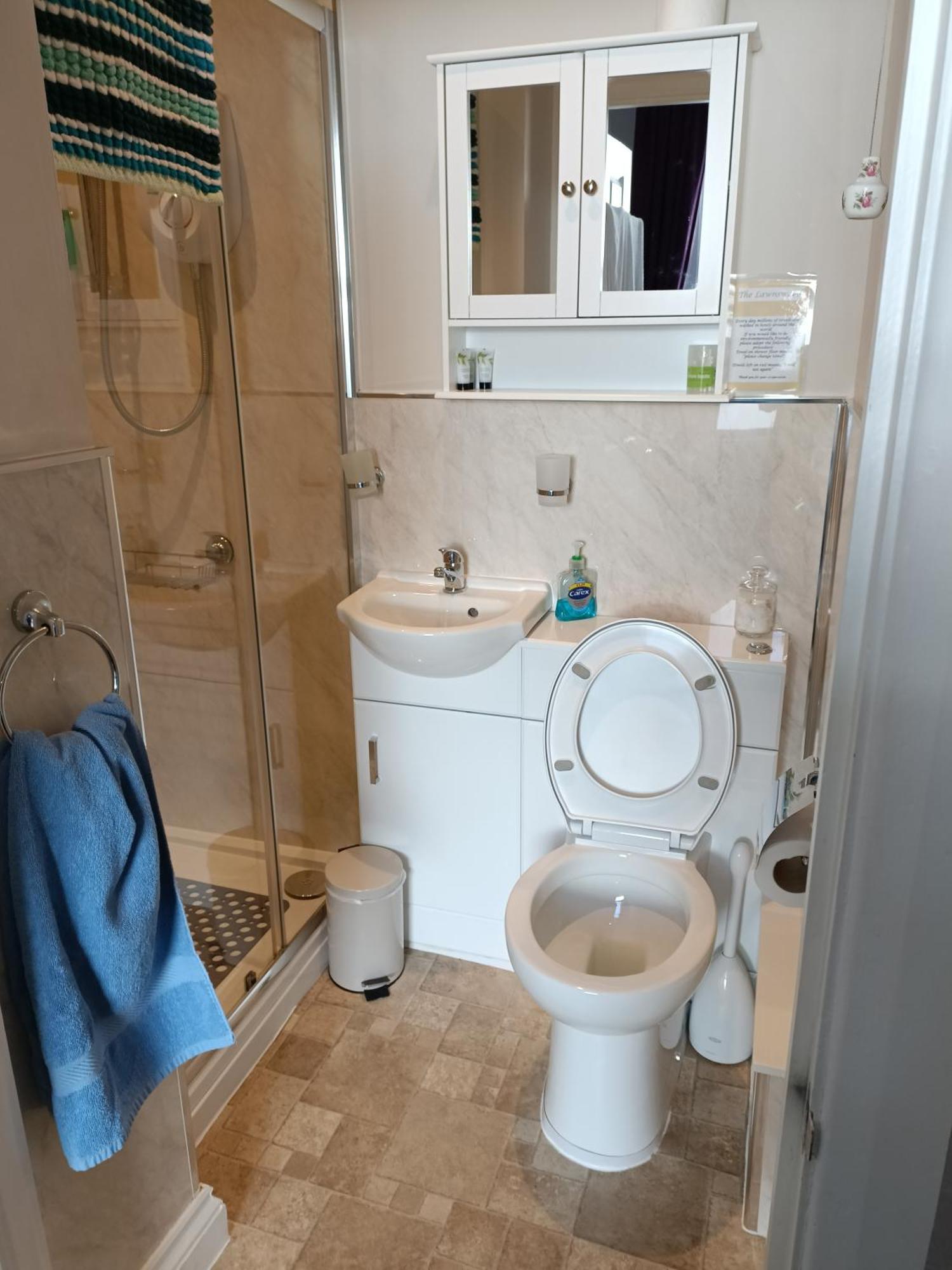Lawnswood Guest House Torquay Extérieur photo